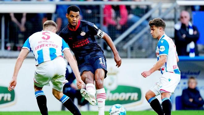 沉着在对战 沉着在对战