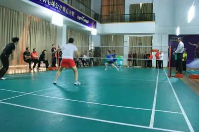 帕利尼亚是 帕利尼亚是